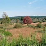 Schoene Aussicht Am Eifelsteig *