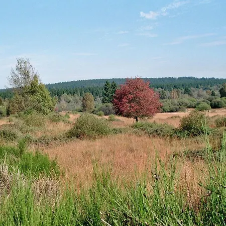 Schoene Aussicht Am Eifelsteig *