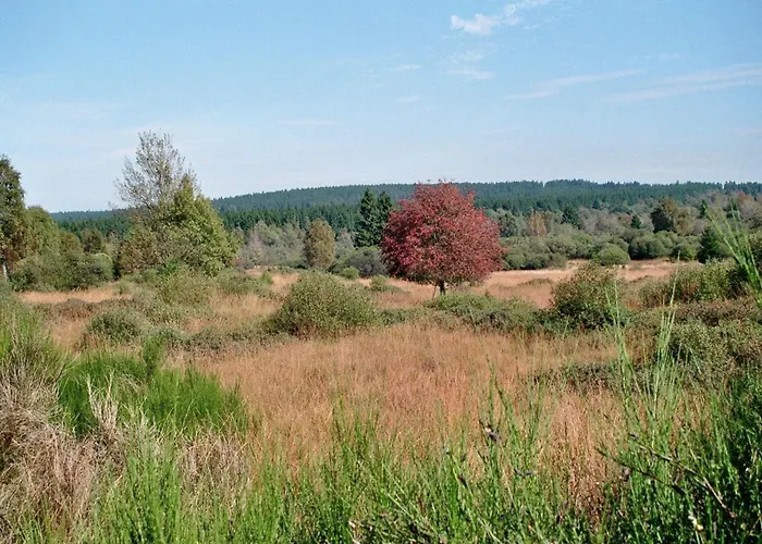 Schoene Aussicht Am Eifelsteig *