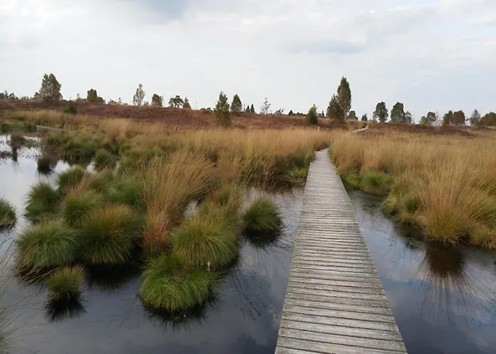 Schoene Aussicht Am Eifelsteig Feriehus