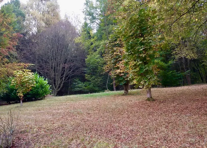 Schoene Aussicht Am Eifelsteig